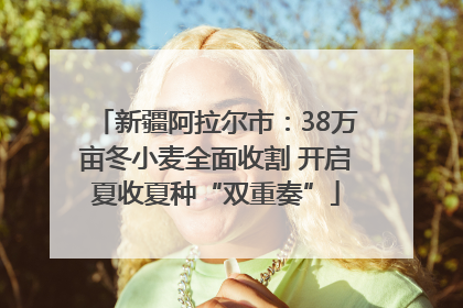 新疆阿拉尔市：38万亩冬小麦全面收割 开启夏收夏种“双重奏”