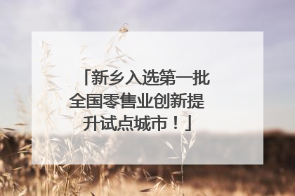新乡入选第一批全国零售业创新提升试点城市！