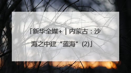 新华全媒+｜内蒙古：沙海之中建“蓝海”(2)
