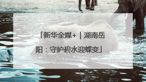 新华全媒+｜湖南岳阳：守护碧水迎蝶变