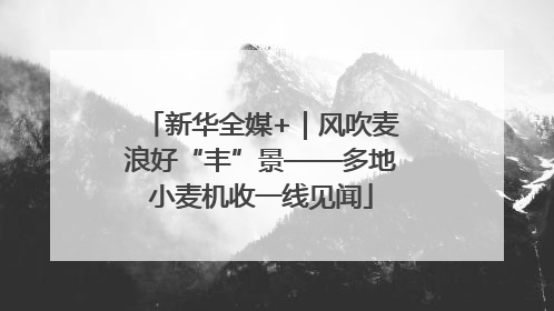 新华全媒+｜风吹麦浪好“丰”景——多地小麦机收一线见闻