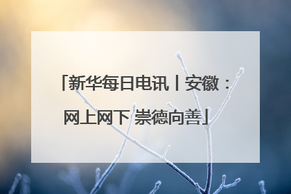 新华每日电讯丨安徽：网上网下 崇德向善