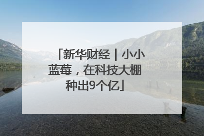 新华财经｜小小蓝莓，在科技大棚种出9个亿
