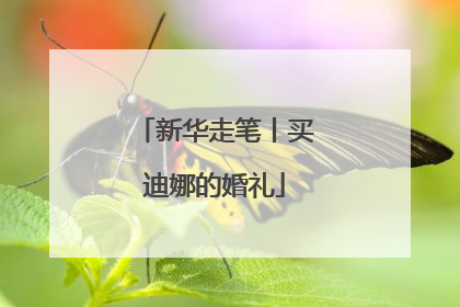 新华走笔丨买迪娜的婚礼