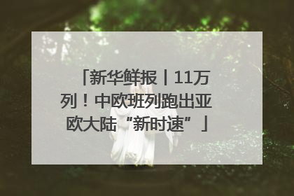 新华鲜报丨11万列！中欧班列跑出亚欧大陆“新时速”