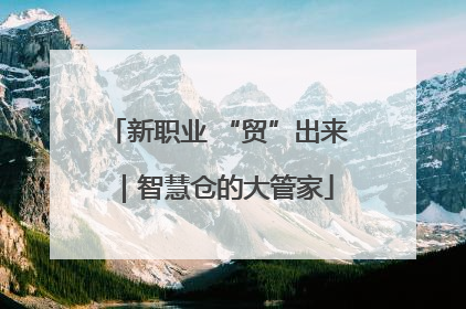 新职业 “贸”出来｜智慧仓的大管家