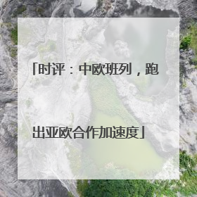 时评：中欧班列，跑出亚欧合作加速度