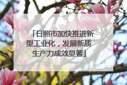 日照市加快推进新型工业化，发展新质生产力成效显著