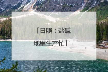 日照：盐碱地里生产忙