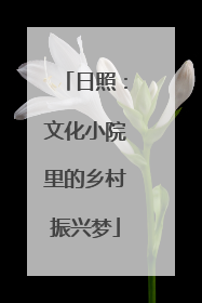 日照：文化小院里的乡村振兴梦