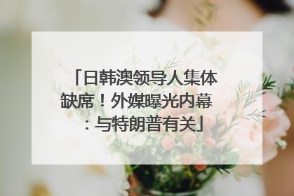 日韩澳领导人集体缺席！外媒曝光内幕：与特朗普有关