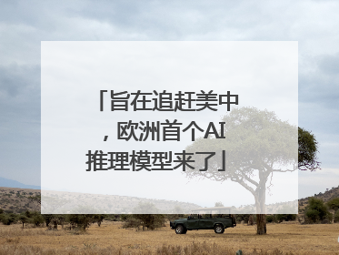 旨在追赶美中，欧洲首个AI推理模型来了
