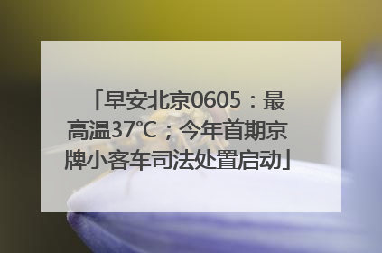 早安北京0605：最高温37℃；今年首期京牌小客车司法处置启动