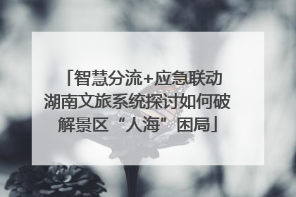 智慧分流+应急联动 湖南文旅系统探讨如何破解景区“人海”困局