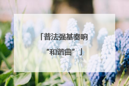 普法强基奏响“和谐曲”