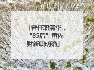 曾任职清华，“85后”黄佐财新职明确