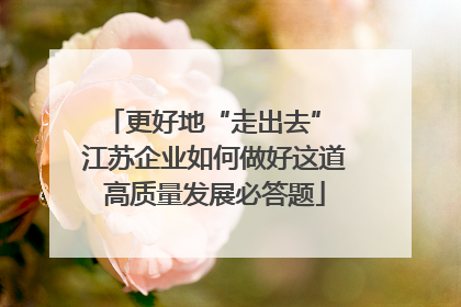 更好地“走出去” 江苏企业如何做好这道高质量发展必答题