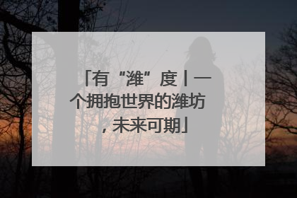 有“潍”度丨一个拥抱世界的潍坊，未来可期