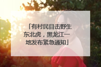 有村民目击野生东北虎，黑龙江一地发布紧急通知