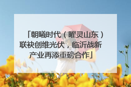 朝曦时代（曜灵山东）联袂创维光伏，临沂战新产业再添重磅合作
