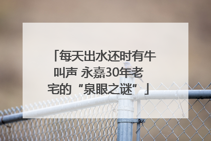 每天出水还时有牛叫声 永嘉30年老宅的“泉眼之谜”