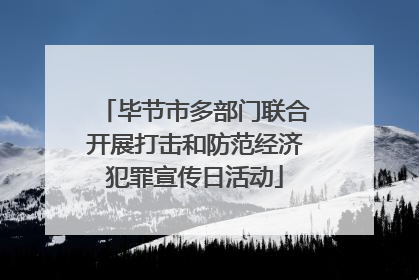 毕节市多部门联合开展打击和防范经济犯罪宣传日活动