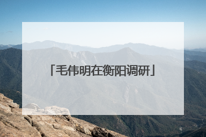 毛伟明在衡阳调研