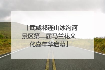 武威祁连山冰沟河景区第二届马兰花文化嘉年华启幕