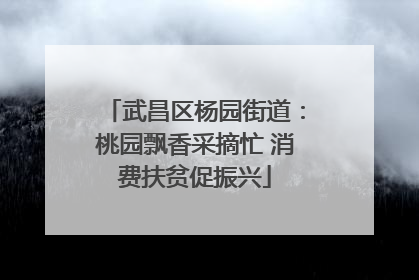 武昌区杨园街道：桃园飘香采摘忙 消费扶贫促振兴