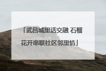 武昌城里话交融 石榴花开串联社区邻里情