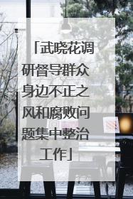 武晓花调研督导群众身边不正之风和腐败问题集中整治工作