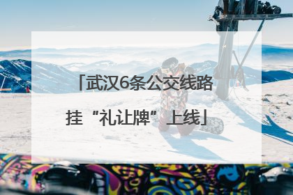 武汉6条公交线路挂“礼让牌”上线