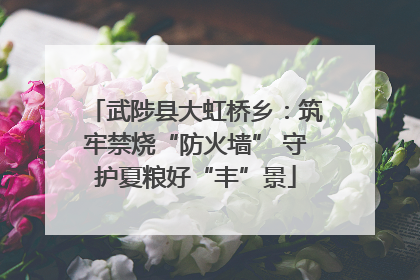武陟县大虹桥乡：筑牢禁烧“防火墙” 守护夏粮好“丰”景
