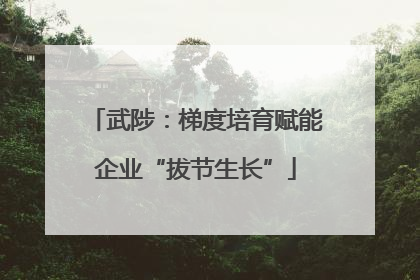 武陟：梯度培育赋能企业“拔节生长”