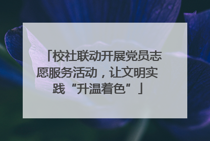 校社联动开展党员志愿服务活动，让文明实践“升温着色”