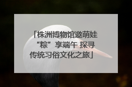 株洲博物馆邀萌娃“粽”享端午 探寻传统习俗文化之旅