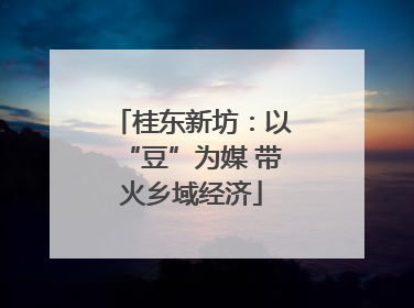 桂东新坊：以“豆”为媒 带火乡域经济