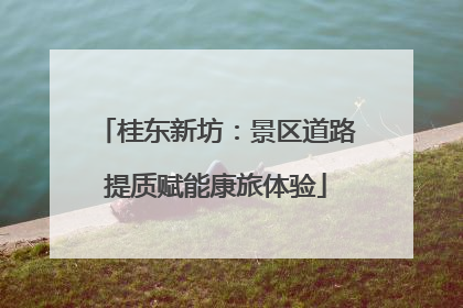 桂东新坊：景区道路提质赋能康旅体验