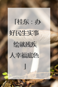 桂东：办好民生实事 绘就残疾人幸福底色