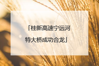 桂新高速宁远河特大桥成功合龙