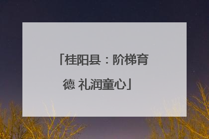 桂阳县：阶梯育德 礼润童心