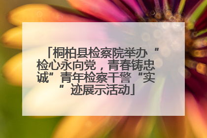 桐柏县检察院举办“检心永向党，青春铸忠诚”青年检察干警“实”迹展示活动