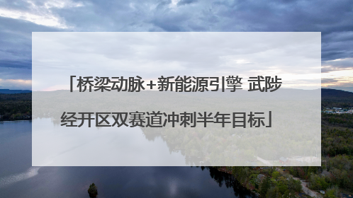桥梁动脉+新能源引擎 武陟经开区双赛道冲刺半年目标