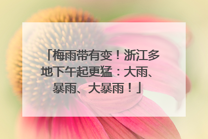 梅雨带有变！浙江多地下午起更猛：大雨、暴雨、大暴雨！