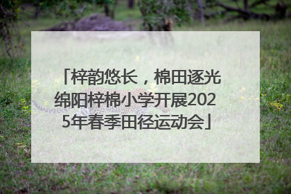 梓韵悠长，棉田逐光 绵阳梓棉小学开展2025年春季田径运动会