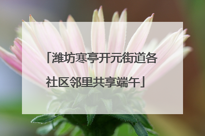 潍坊寒亭开元街道各社区邻里共享端午