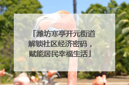 潍坊寒亭开元街道解锁社区经济密码，赋能居民幸福生活