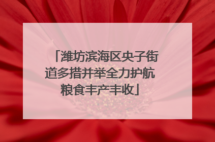 潍坊滨海区央子街道多措并举全力护航粮食丰产丰收