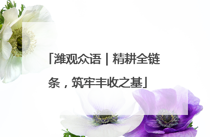 潍观众语｜精耕全链条，筑牢丰收之基