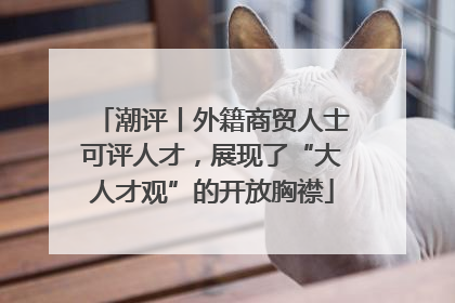 潮评丨外籍商贸人士可评人才，展现了“大人才观”的开放胸襟